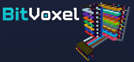 Bitvoxel