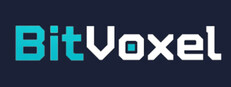 BitVoxel cover
