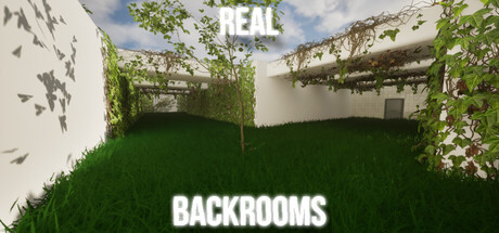 Real backrooms header art