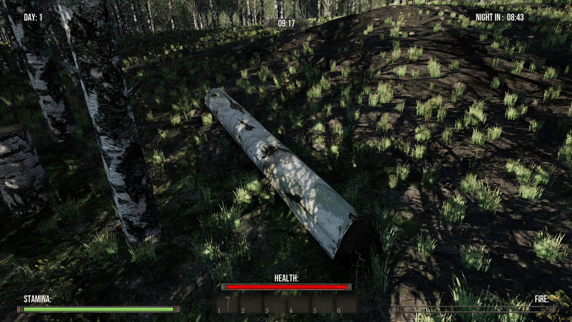 Until the Fire Dies screenshot 10