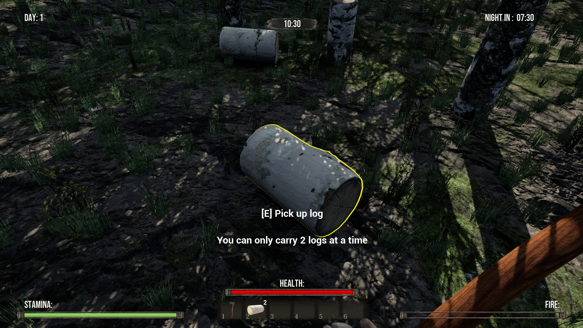Until the Fire Dies screenshot 7