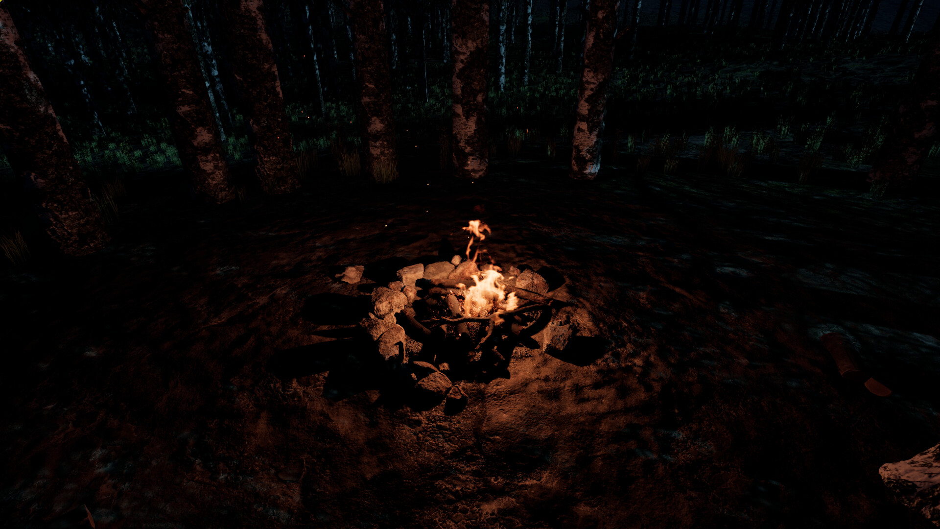 Until the Fire Dies screenshot 6