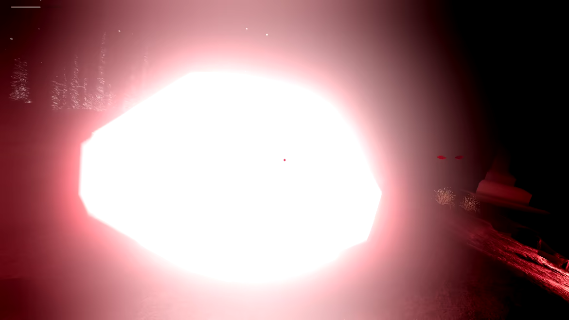 The Unseeing video 2