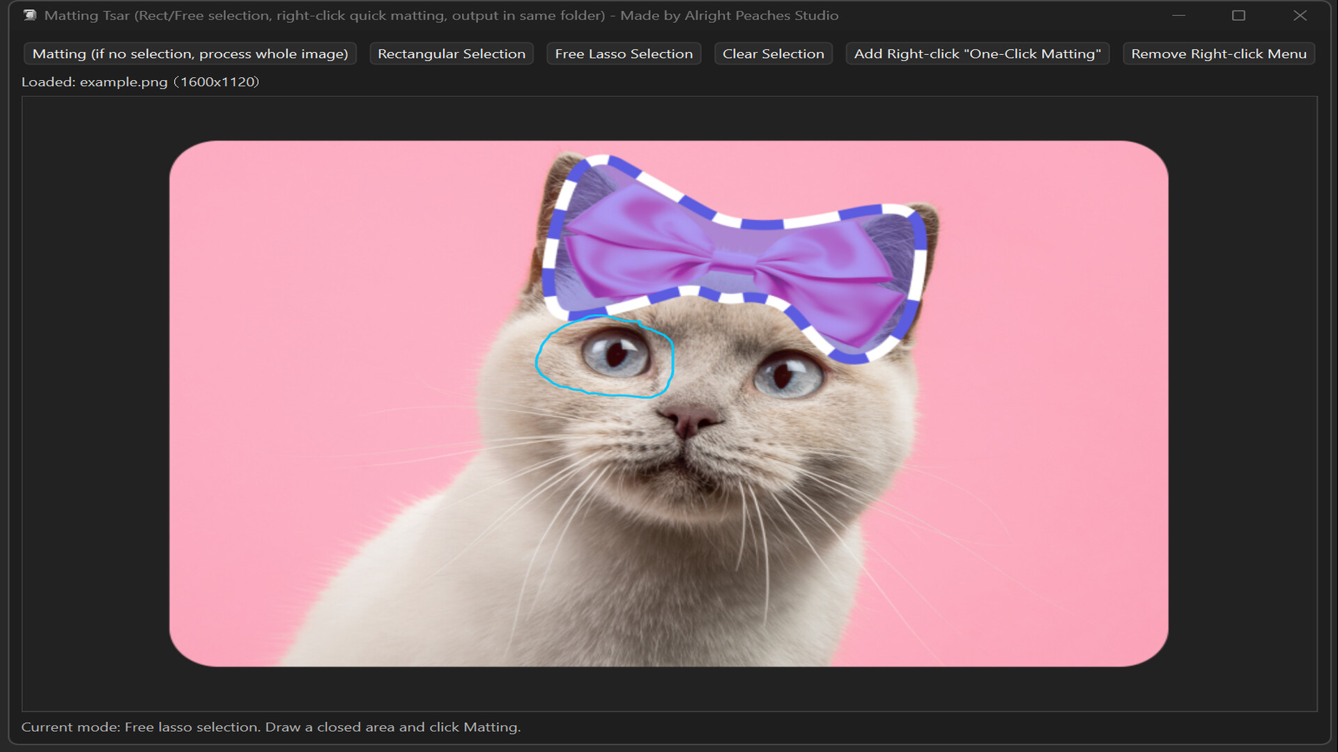 Matting Tsar screenshot 4