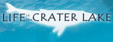 Life in the Crater Lake cover