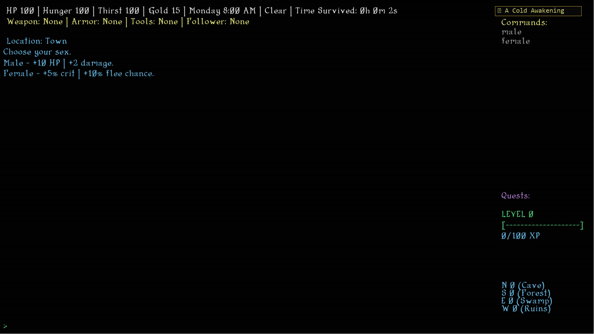 Dark Hollow RPG – Screenshot 1
