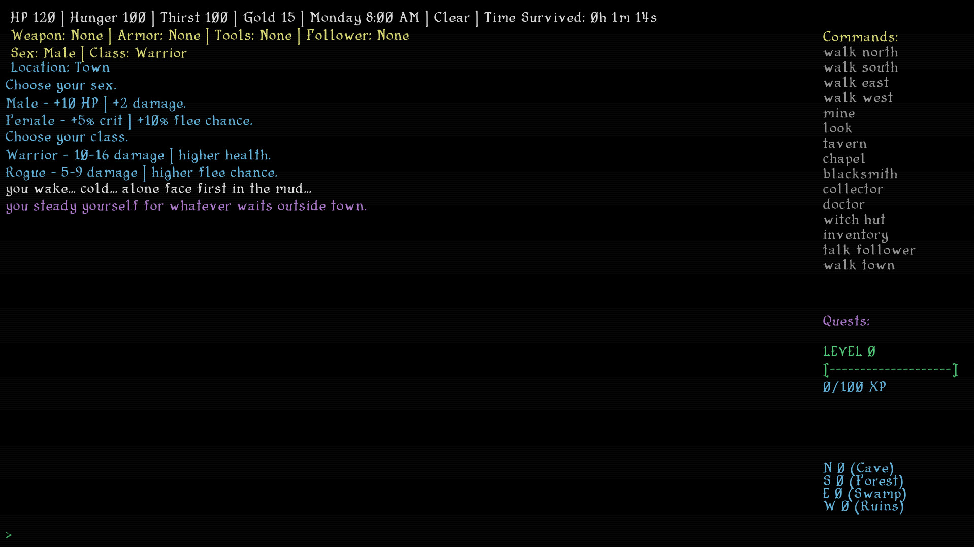 Dark Hollow RPG – Screenshot 2