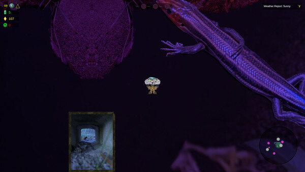 Shroomocracy! And The Wand Of Ages screenshot 16