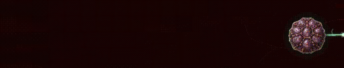 The Last One Bullet video 2