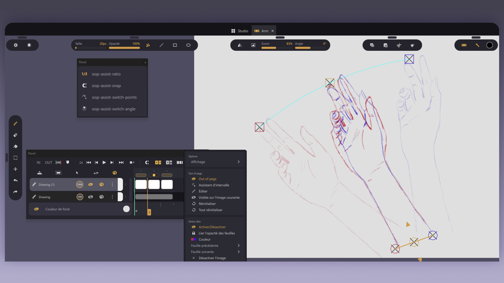 Callipeg Studio screenshot 8