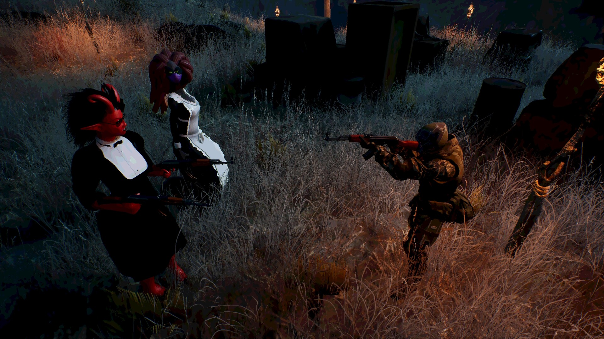 of MER and MAID screenshot 2
