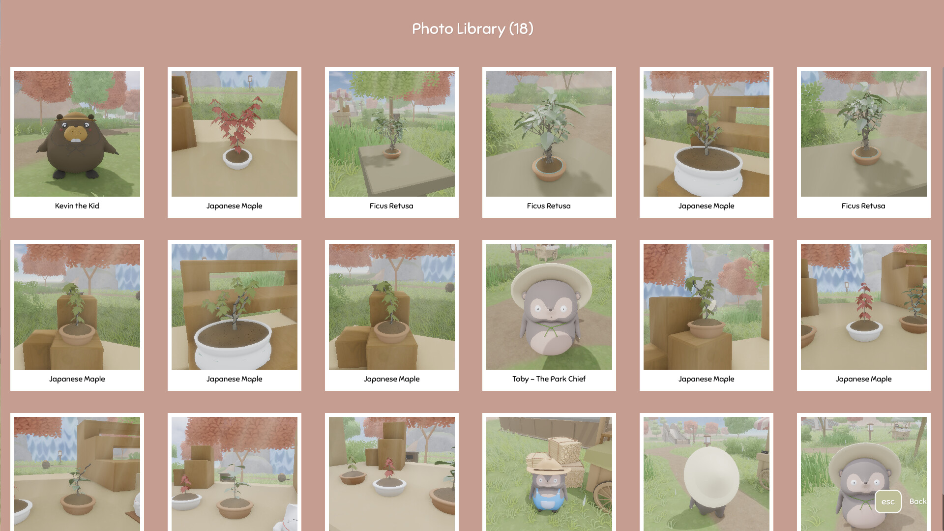 Bonsai Island screenshot 9