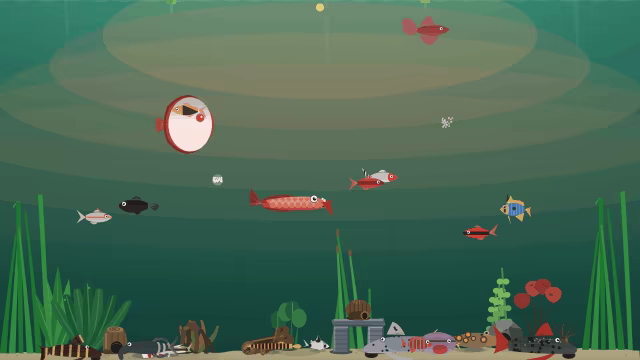 Nanoquarium video 6