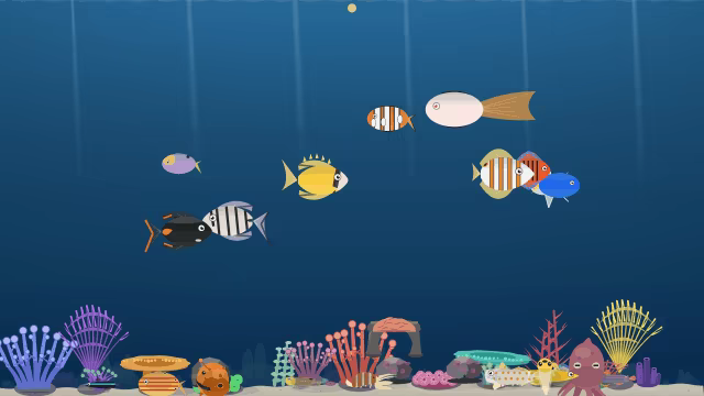 Nanoquarium video 4