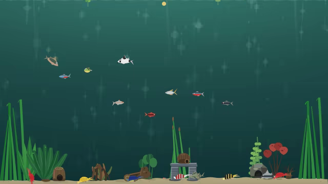 Nanoquarium video 2