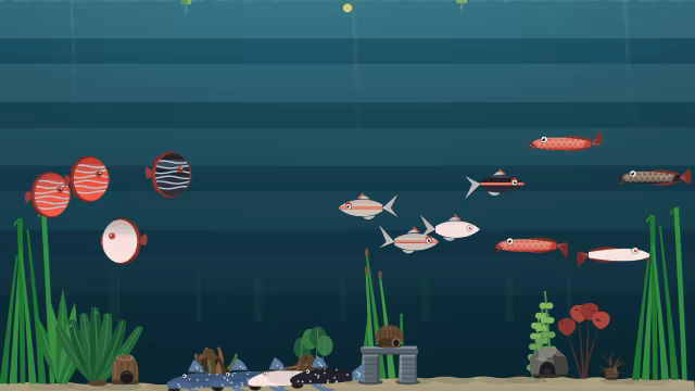 Nanoquarium video 3