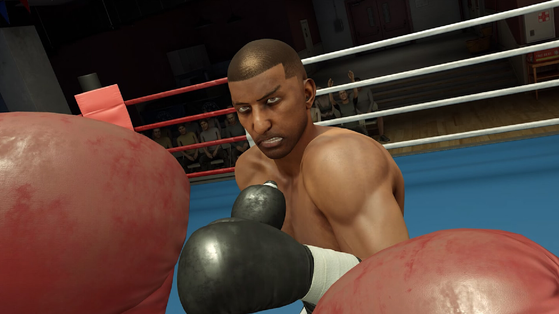 Screenshot 13