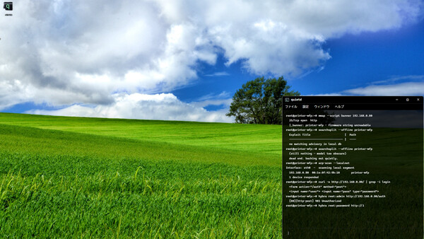 Screenshot media