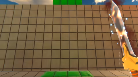 ACAME video 1