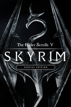 Cover art of The Elder Scrolls V: Skyrim Special Edition