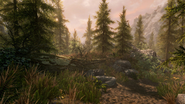 The Elder Scrolls V: Skyrim Special Edition Screenshot