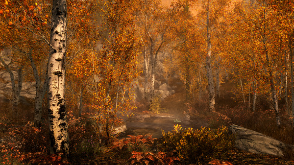 The Elder Scrolls V: Skyrim Special Edition — кадр 3