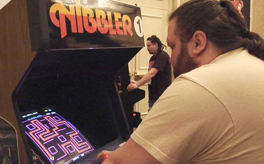 Man vs Snake: The Long and Twisted Tale of Nibbler screenshot 5