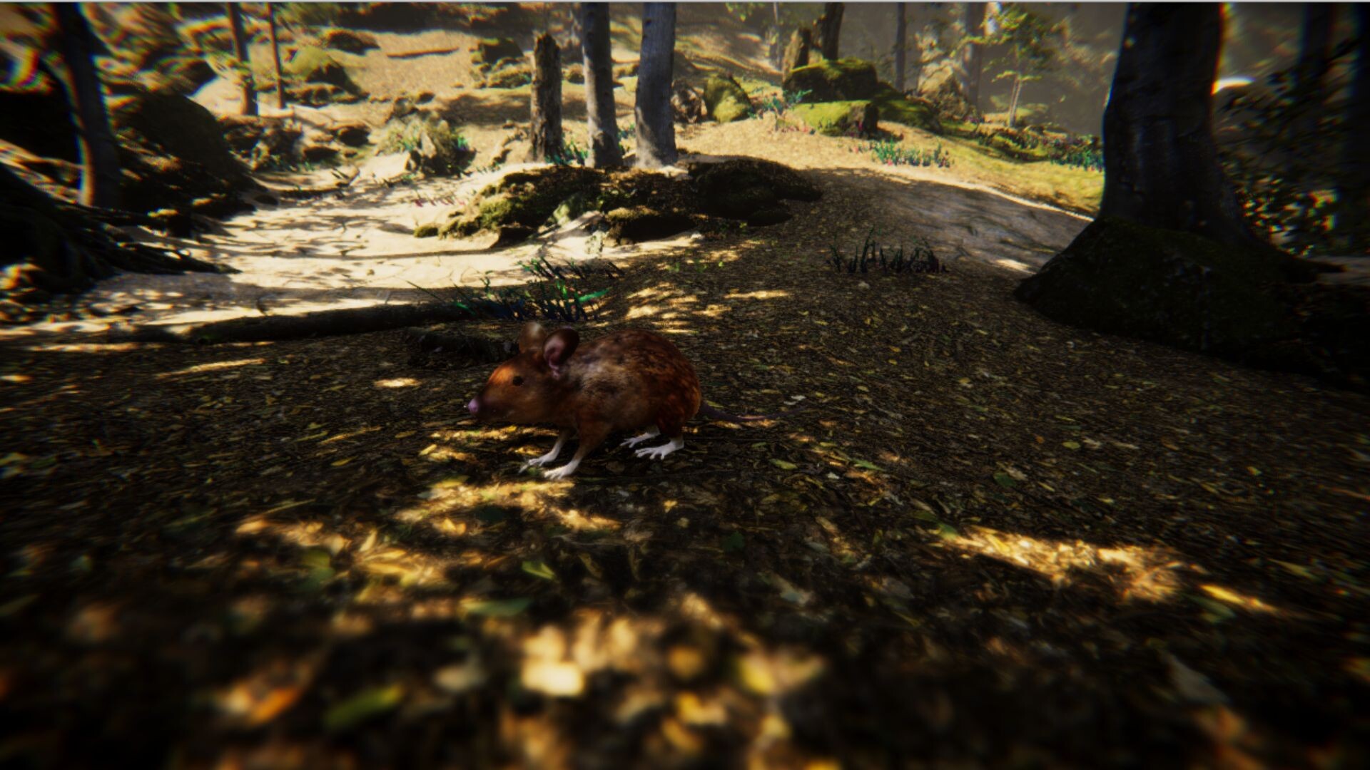 Animal screenshot 4