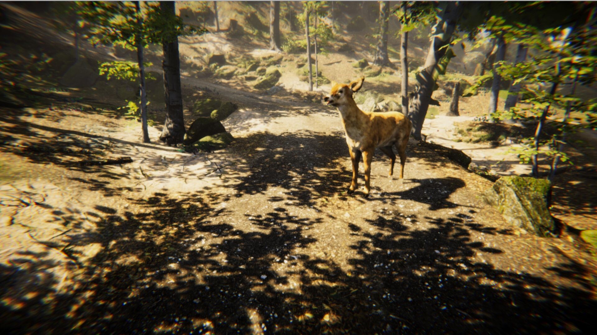 Animal screenshot 1