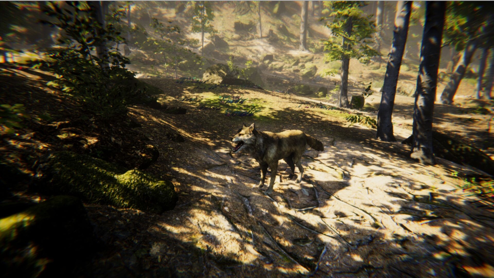 Animal screenshot 5