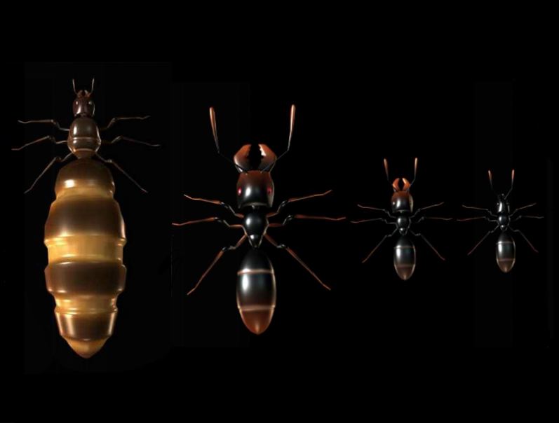 #4. Ant Queen (Steam) Por: inVantage Technologies