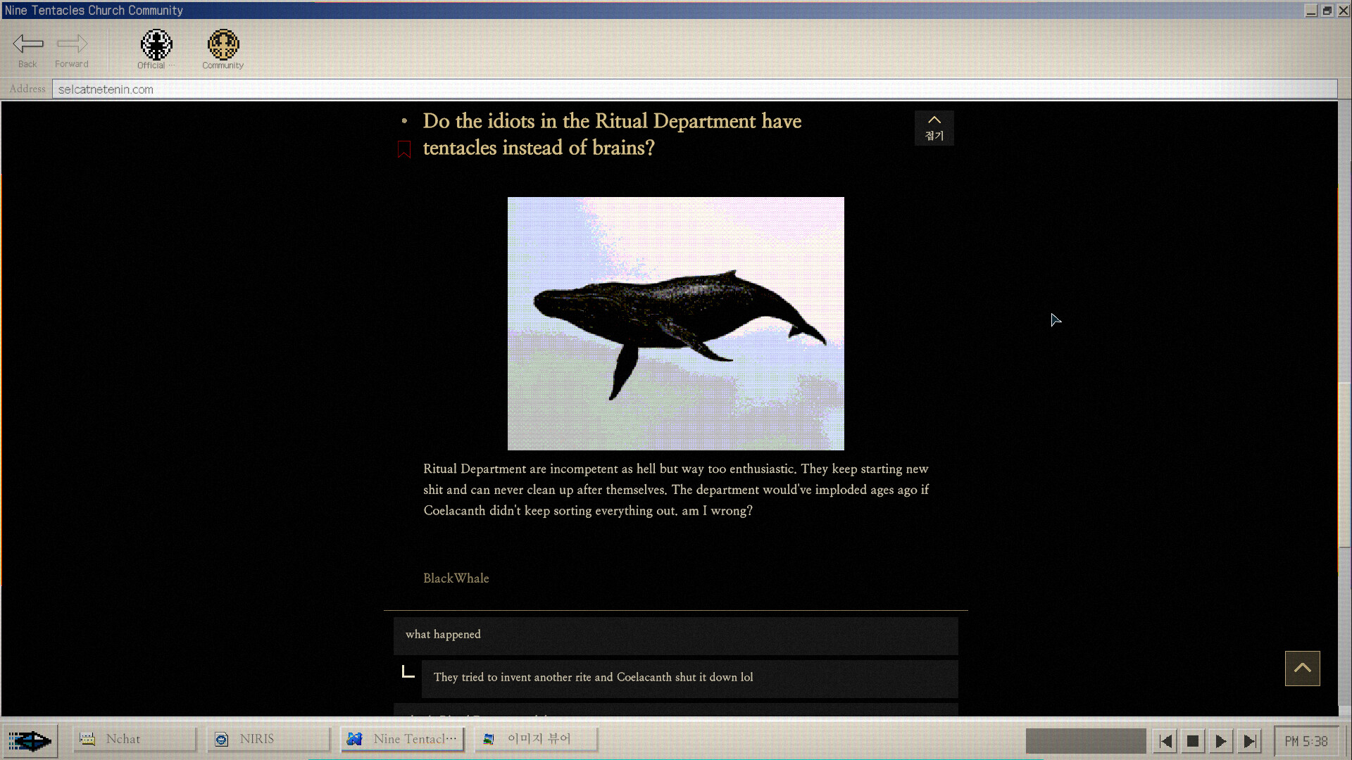 No Results Found — screenshot 3