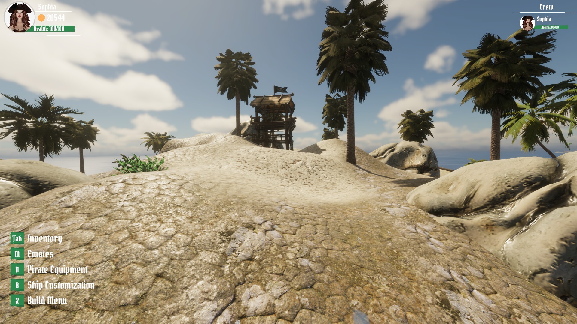 Pirates Life screenshot 2