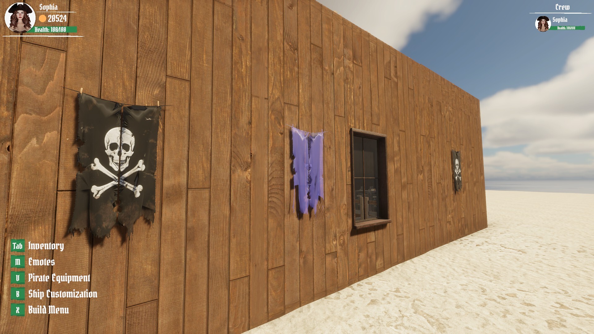 Pirates Life screenshot 8