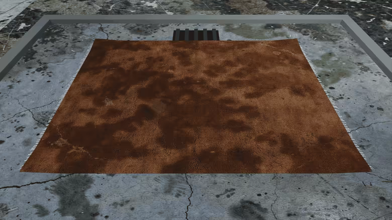 The Rug Racket video 2