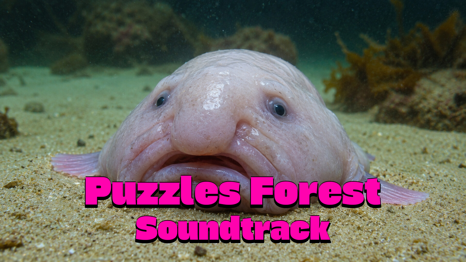 Puzzles: Fish Soundtrack Featured Screenshot #1