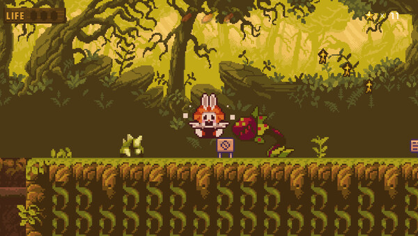 Wild Carrot screenshot 3