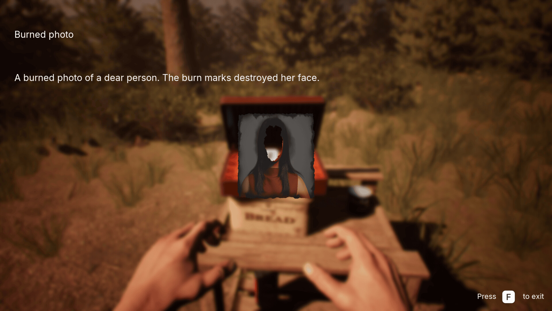 Dark Realms: Hoia Baciu screenshot 9