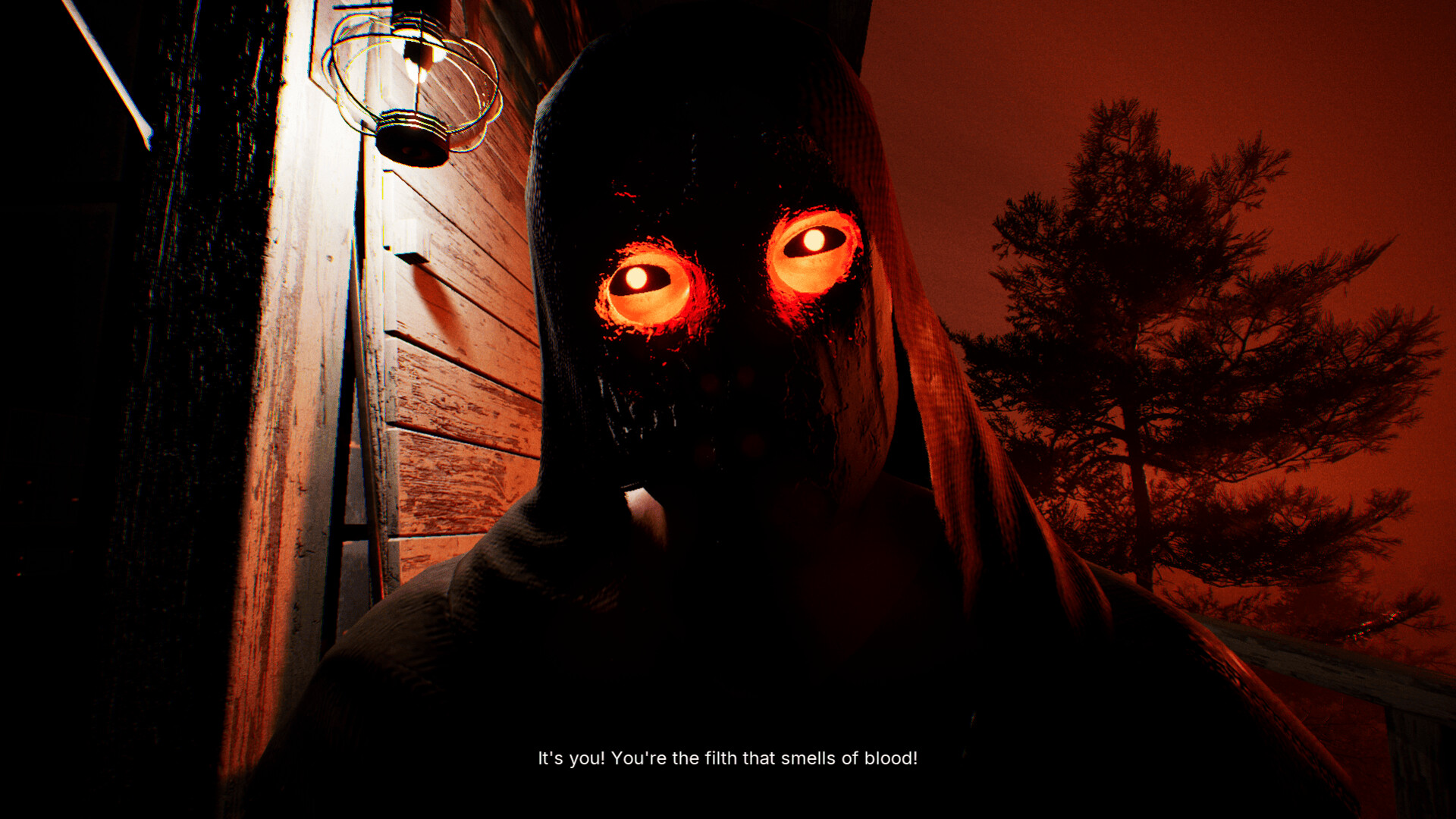 Dark Realms: Hoia Baciu screenshot 1