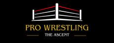 Pro Wrestling: The Ascent cover