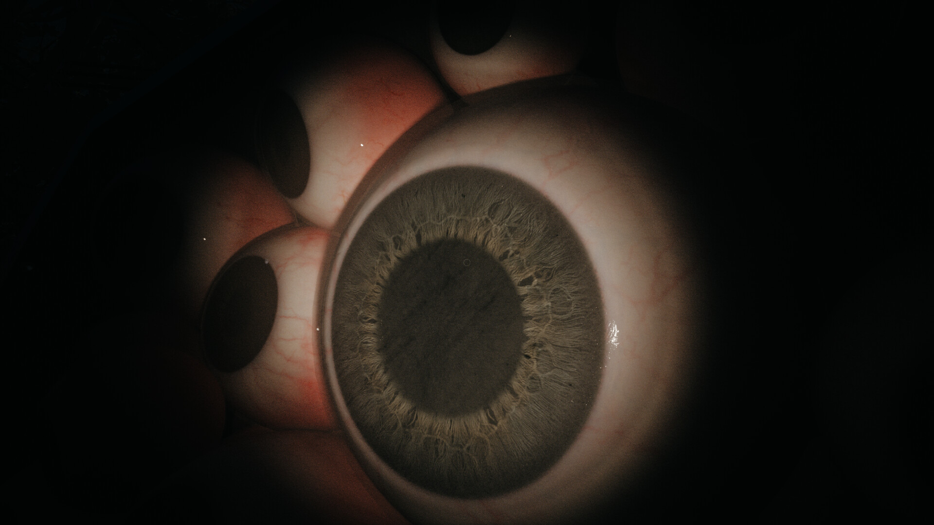 Pine Hollow screenshot 11