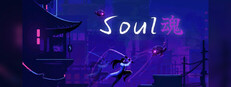 Soul cover