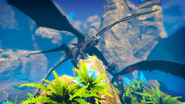 Time of Dragons - Neil Dragon Pack