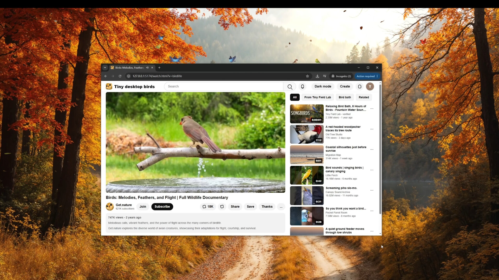 Tiny Desktop Birds screenshot 5