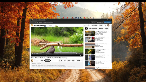 Screenshot media