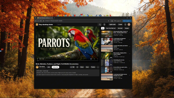 Screenshot media