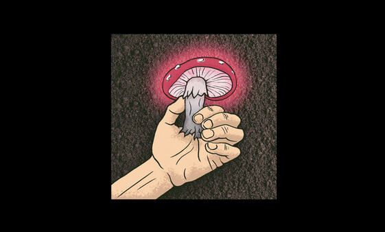 Avoid Mushrooms Screenshot