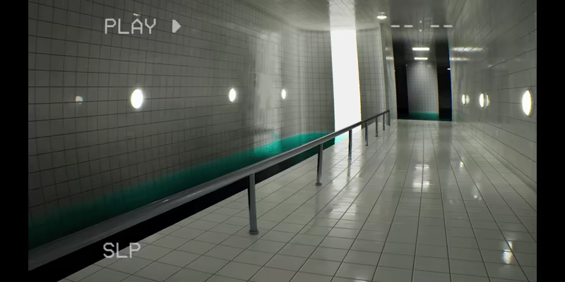 LIMINOID video 6