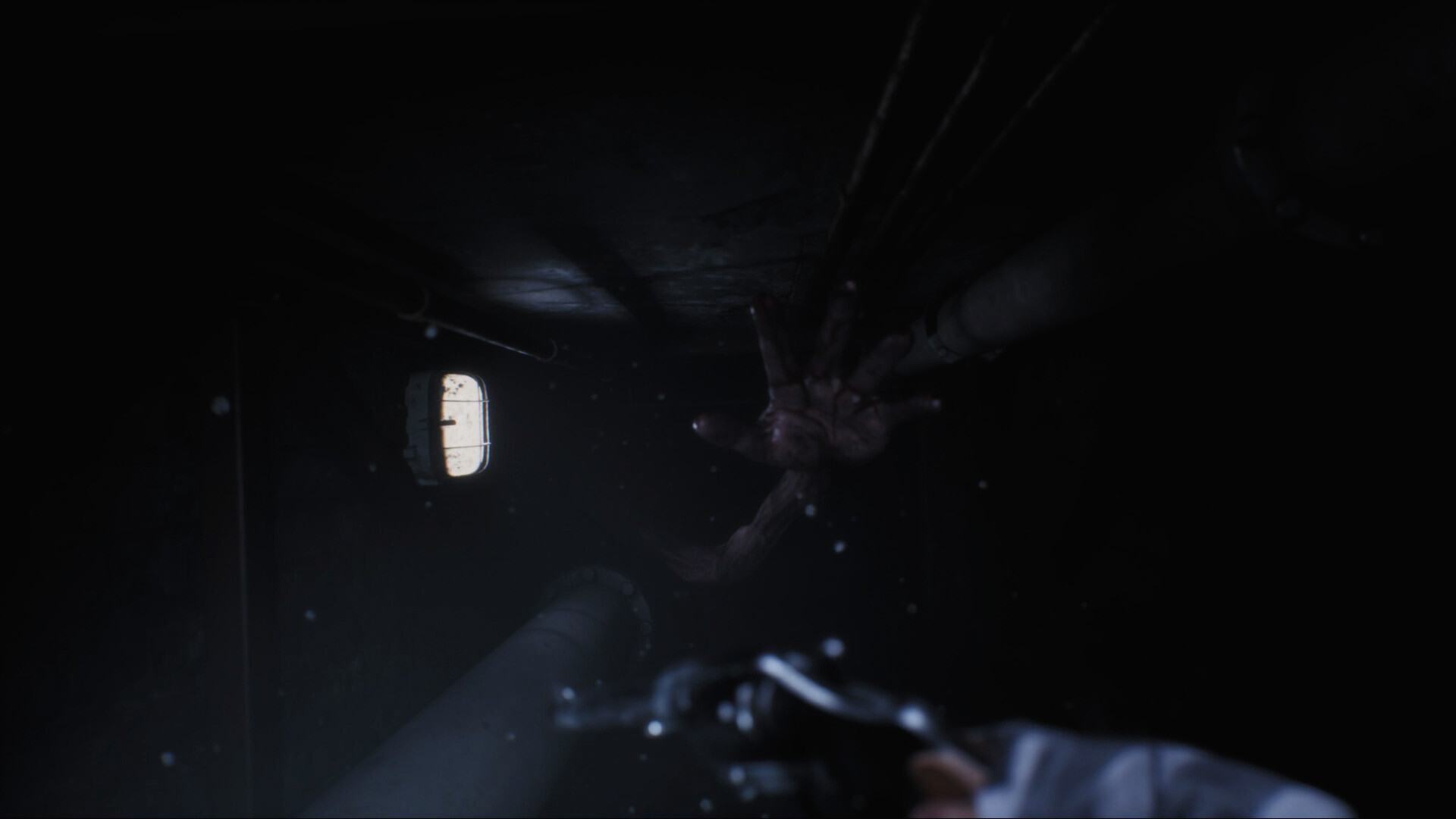 Black Lake screenshot #2