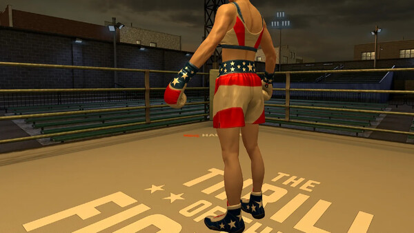 The Thrill Of The Fight 2 - 4th of July Top screenshot 4